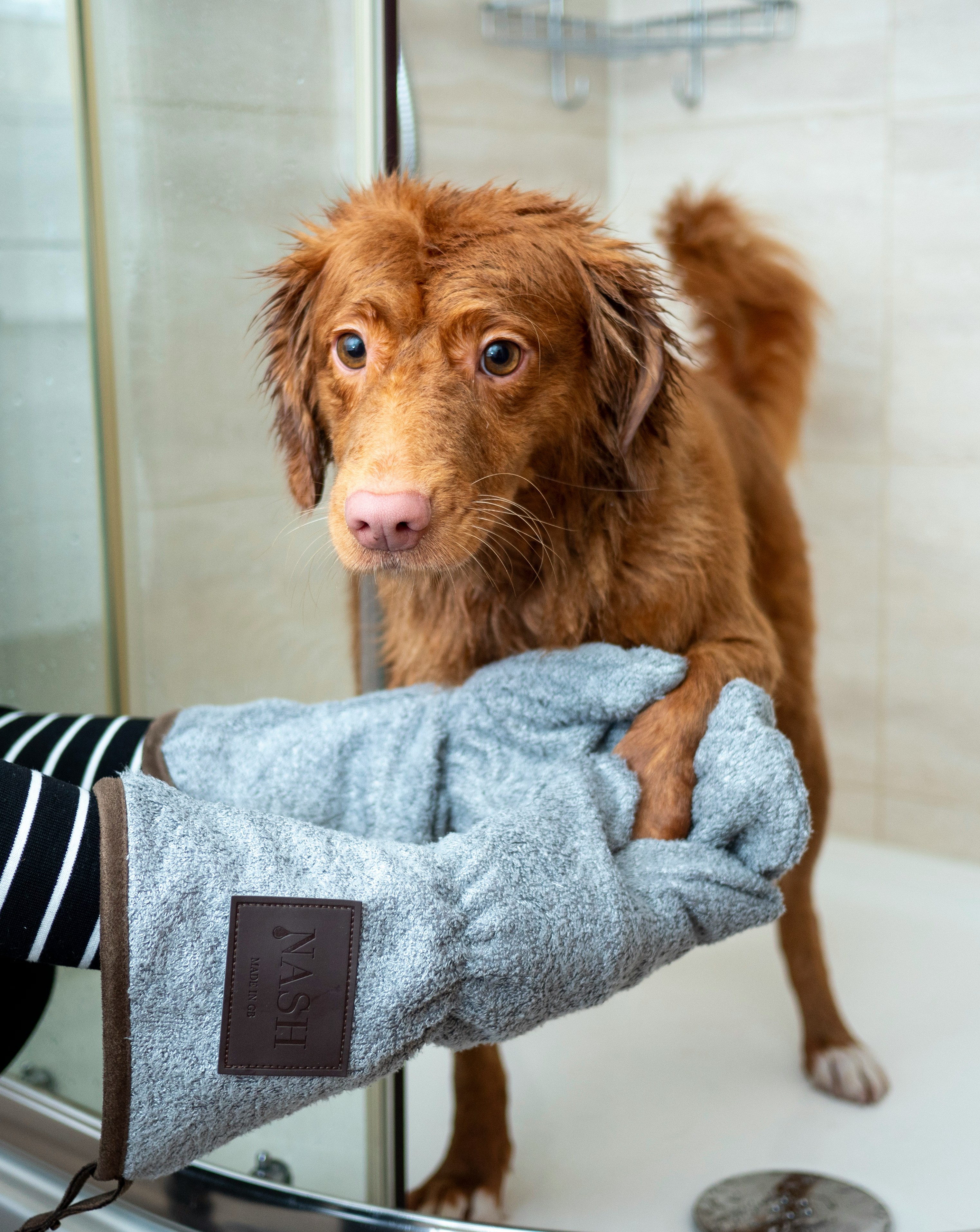 North Van Grooming Co.